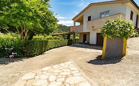 Apartment Dumicic 1